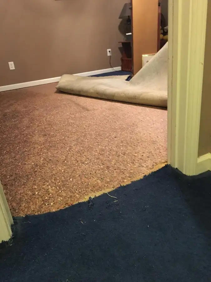 Carpet pad removal revealing water damage during Drying & Dehumidification in Terre Haute