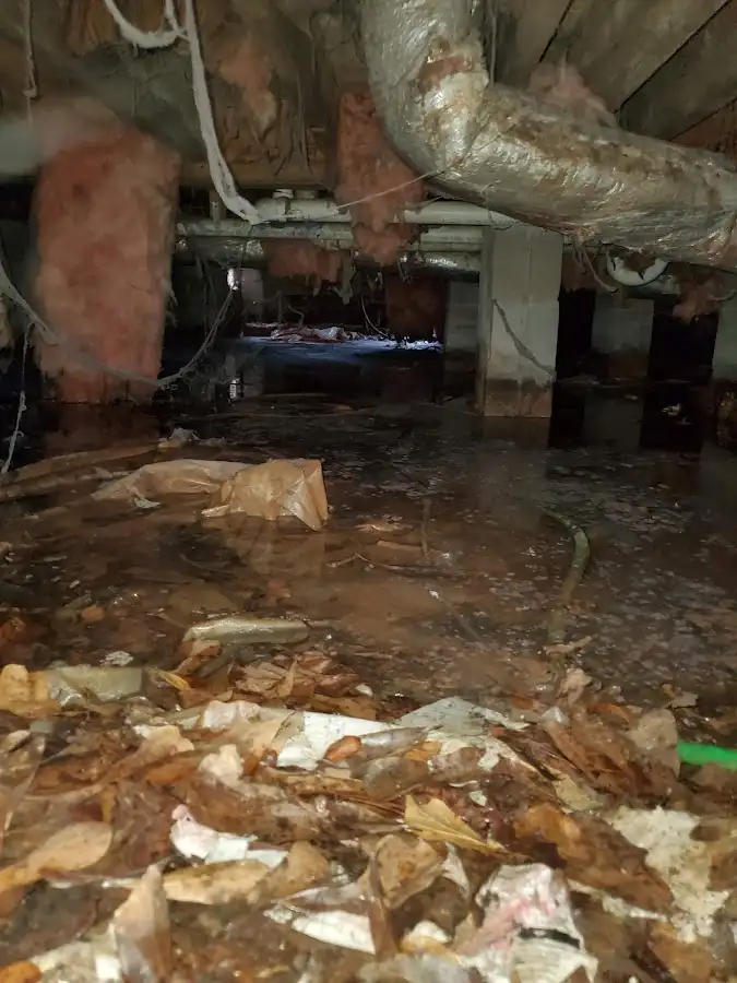 Crawl space flood assessment for Commercial Water Damage Restoration in Terre Haute
