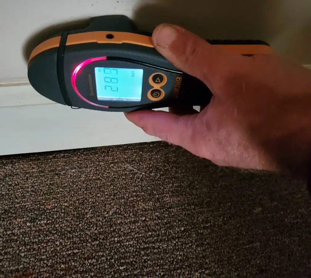 Moisture detection at baseboard during Sewage Cleanup & Sanitation in Terre Haute